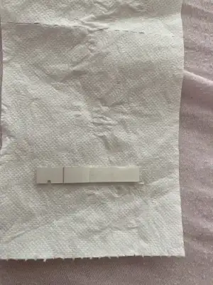 34F1E160-A2CF-473A-80A3-39A4F37D773C.webp