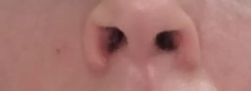 20220828_191521.webp