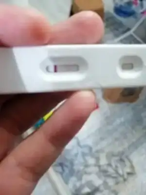 7338.jpg