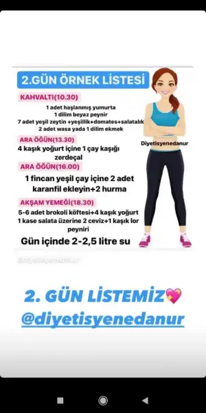 2.gün örnek liste.webp