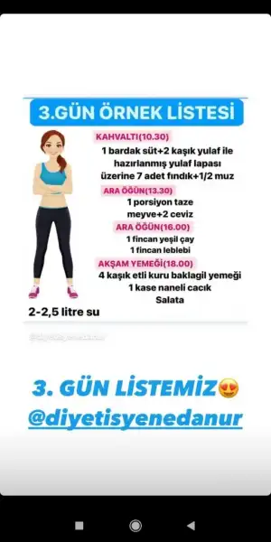 3.gün örnek liste.webp