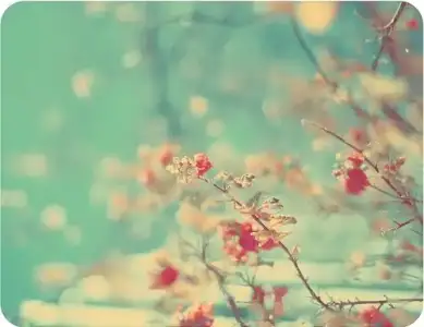 $Favim.com-1221.webp $Favim.com-1221.webp