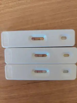 16625579513438358767197769827246.webp
