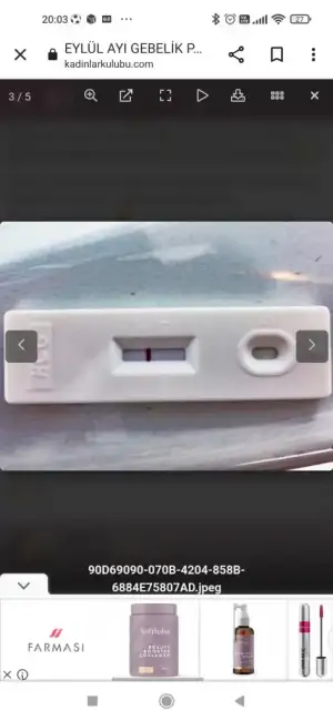 Screenshot_2022-09-07-20-03-07-482_com.android.chrome.webp