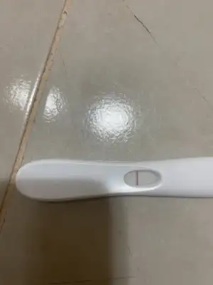 D6B375F1-6B1D-404C-9AE1-253021EE6F70.webp