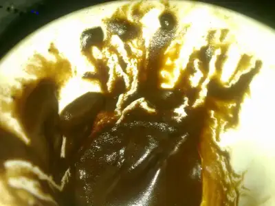 $01082012793.webp