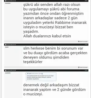 1 (16).webp