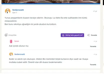1 (35).webp