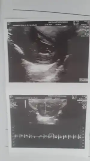 WhatsApp Image 2022-09-24 at 10.46.25.webp