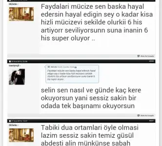1 (18).webp