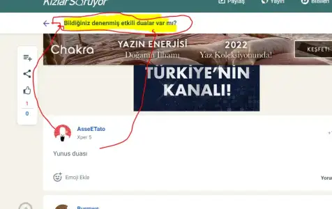 1 (41).webp