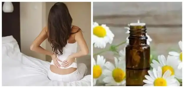 Sırt Ağrısıyla Savaşmak için 10 Uçucu Yağ