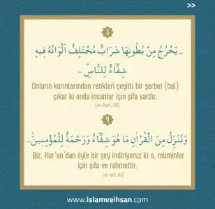 F8C7E796-ABC5-477A-8176-CF10898AF3AB.webp