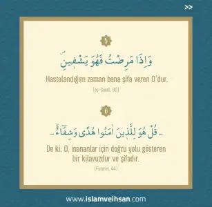 A1F5E8D1-2D38-492D-A824-8D154884B5D8.webp