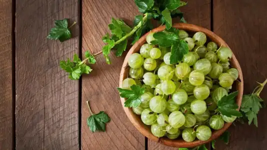 amla_sac_bakimi.webp