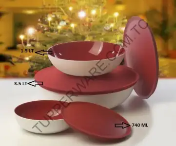 $TUPPERWARE-BERRAK-SET.webp