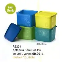 $antartika_kare_4lu_renkli.webp