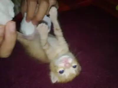 $07092010487.webp