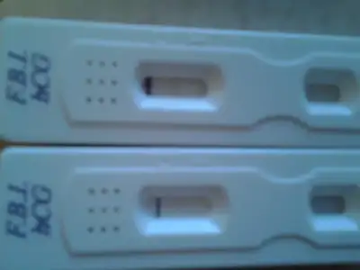 $Foto0220.webp $Foto0220.webp