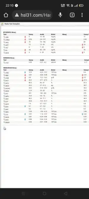Screenshot_2022-10-27-22-10-45-43.webp