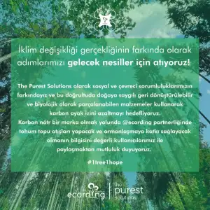 EDFEAE19-72CE-46DC-96DE-71CB7F7C2418.webp