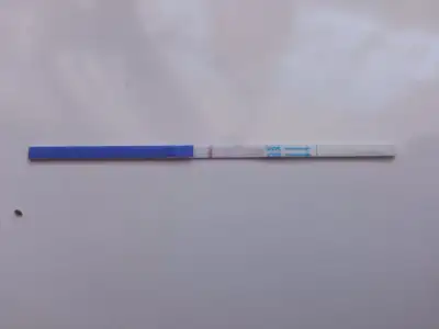 16680841812918463241233489069311.webp