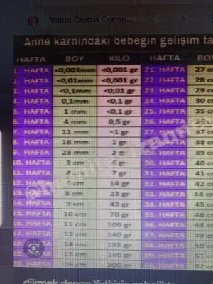 6564E4E3-98B9-4B4C-9B95-139619F78D74.webp