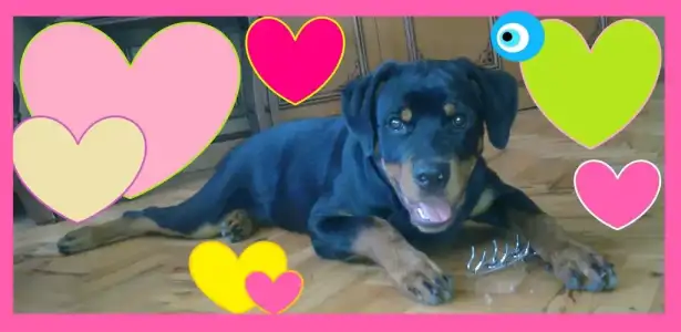 $18072012224 (2).webp