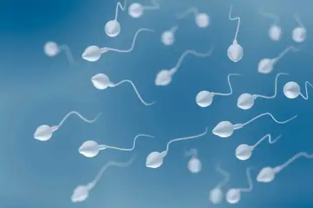 sperm_kalitesi_kisirlik.jpg