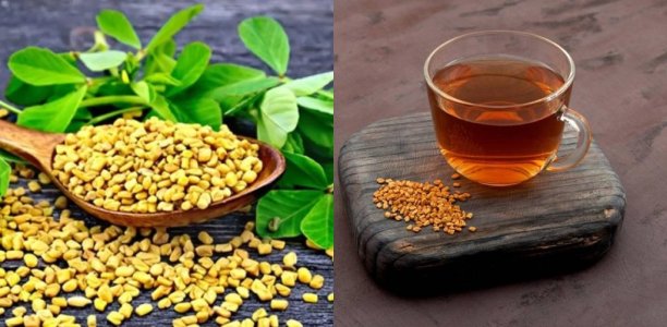 Çemen Otu (Methi) Çayı: Faydaları ve Sağlık Riskleri