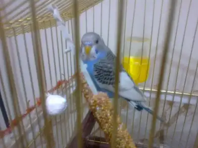 $21022011115.webp