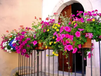 $duvar-cicekler (5).webp