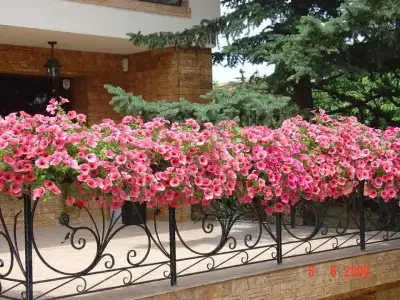 $duvar-cicekler (6).webp