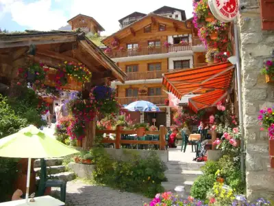 $duvar-cicekler (9).webp