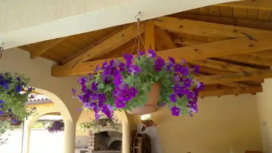 $duvar-cicekler (19).webp