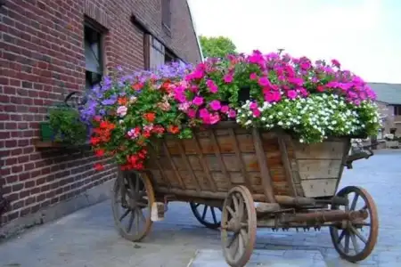 $duvar-cicekler (28).webp