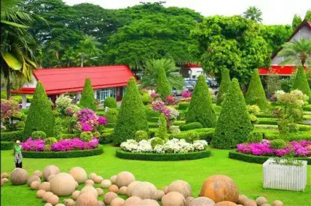 $duvar-cicekler (29).webp