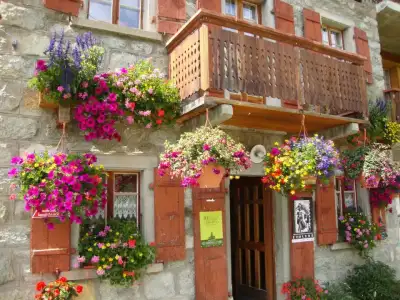 $duvar-cicekler (38).webp