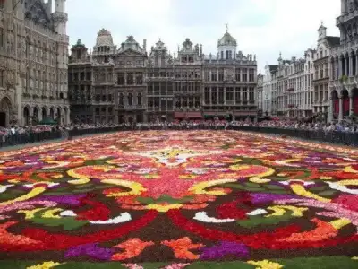 $duvar-cicekler (47).webp