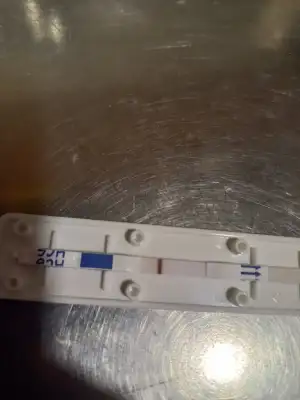 16714312595403193006366787095733.webp