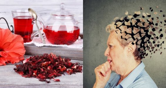 Ebegümeci bitkisinde bulunan gossypetin Alzheimer hastalığını yenebilir