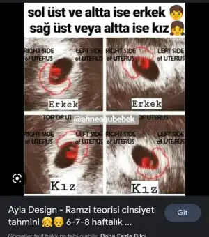 ABDE287E-D84A-48C0-80A4-DA44791CEB9F.webp