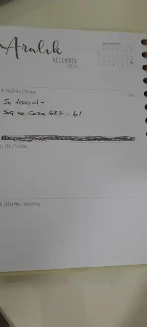 20221226_175021.webp