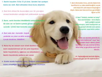 $golden032retriever032puuuuuuuuuu.webp