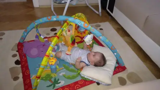 $12080005.webp