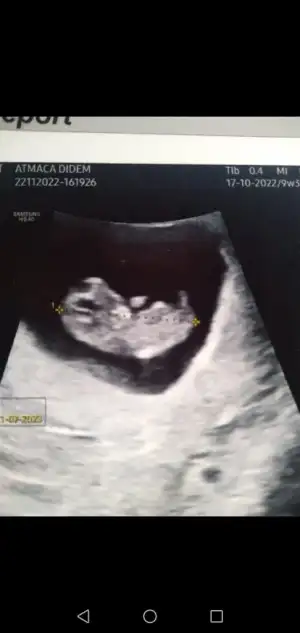 Screenshot_20221227-191743.webp