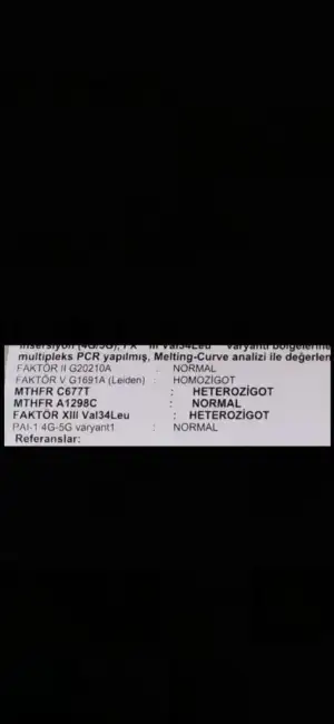 Screenshot_2022-12-28-12-42-16-108_com.miui.gallery.webp