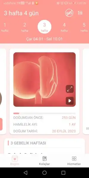 Screenshot_20230108_202621_com.pregnancyapp.babyinside.webp