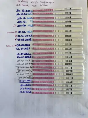 03CBF26B-9BE0-479C-AD4C-7CAFD160F461.webp