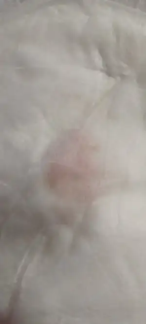 Screenshot_2023-01-14-11-22-10-466_com.miui.gallery.webp